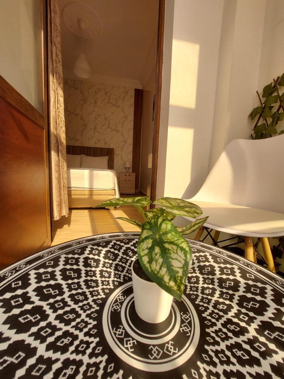 Charite Host Appartement , Wifi Et Parking Gratuit Agadir Eksteriør billede